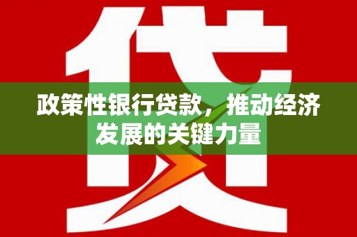 罗东政策性银行贷款，推动经济发展的关键力量