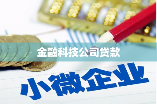 罗东金融科技公司贷款