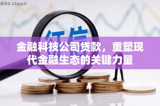 罗东金融科技公司贷款，重塑现代金融生态的关键力量