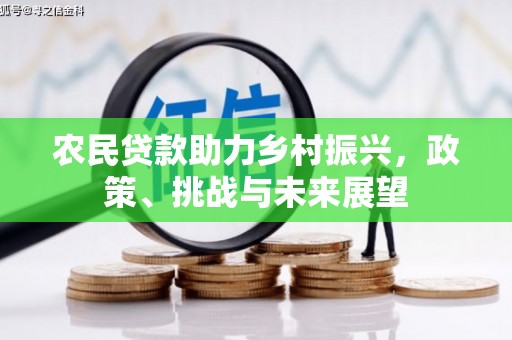罗东农民贷款助力乡村振兴，政策、挑战与未来展望
