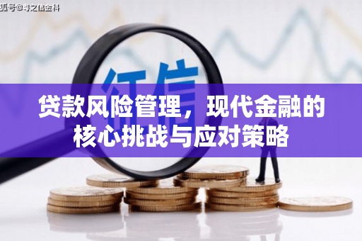 罗东贷款风险管理，现代金融的核心挑战与应对策略