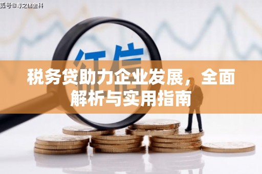 罗东税务贷助力企业发展，全面解析与实用指南