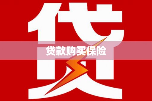 罗东贷款购买保险