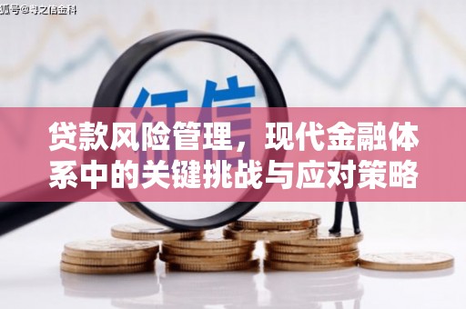罗东贷款风险管理，现代金融体系中的关键挑战与应对策略