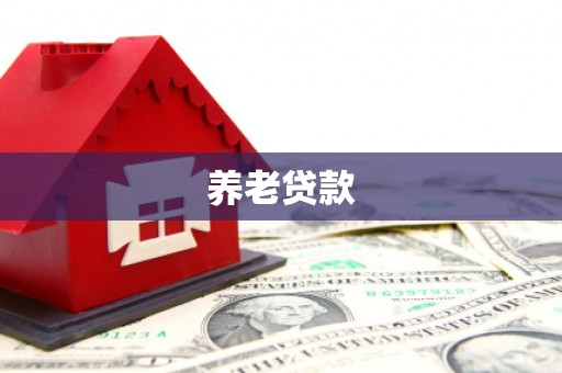 罗东养老贷款