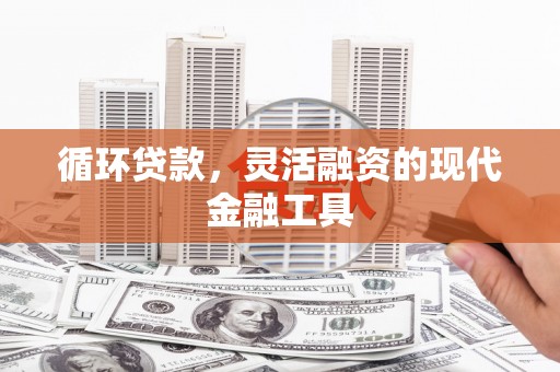 罗东循环贷款，灵活融资的现代金融工具