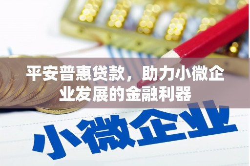 罗东平安普惠贷款，助力小微企业发展的金融利器