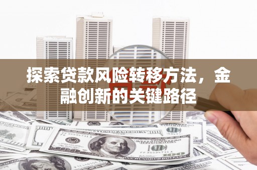 罗东探索贷款风险转移方法，金融创新的关键路径