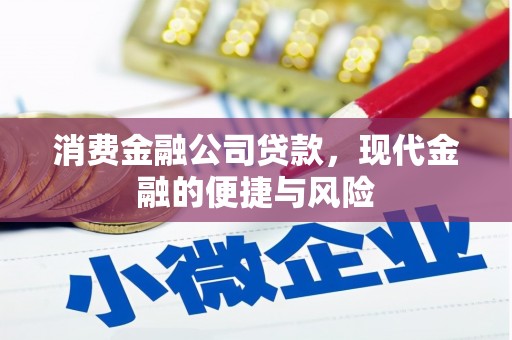 罗东消费金融公司贷款，现代金融的便捷与风险