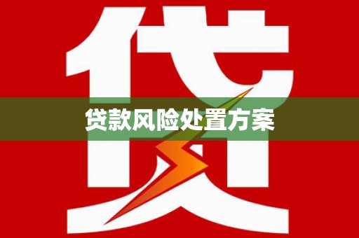 罗东贷款风险处置方案