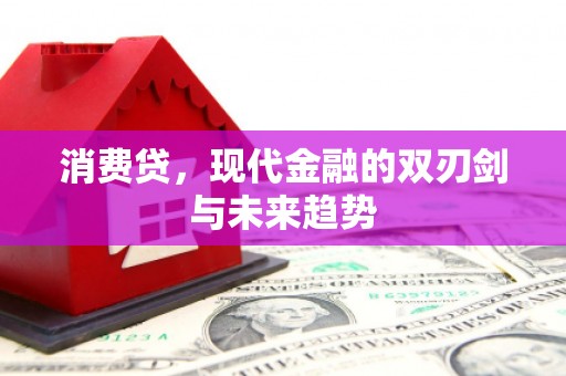 罗东消费贷，现代金融的双刃剑与未来趋势