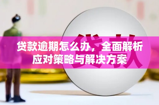 罗东贷款逾期怎么办，全面解析应对策略与解决方案