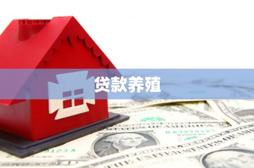 罗东贷款养殖