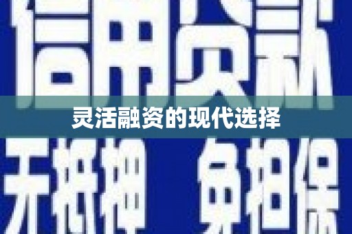 罗东灵活融资的现代选择