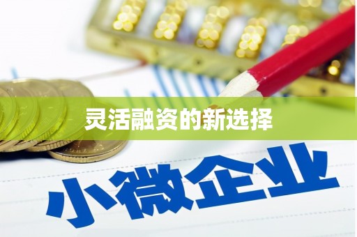 罗东灵活融资的新选择
