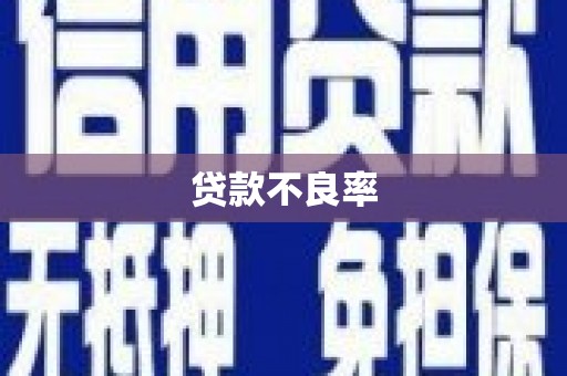 罗东贷款不良率