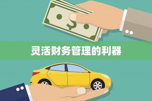 罗东灵活财务管理的利器