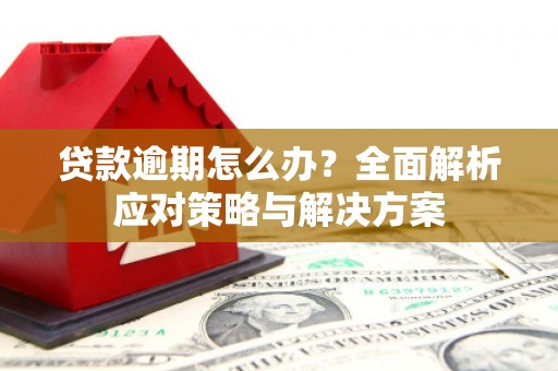罗东贷款逾期怎么办？全面解析应对策略与解决方案