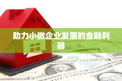罗东助力小微企业发展的金融利器