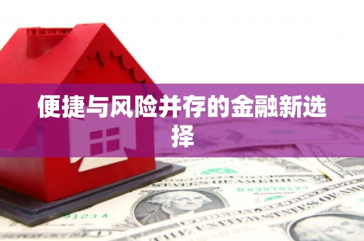 罗东便捷与风险并存的金融新选择