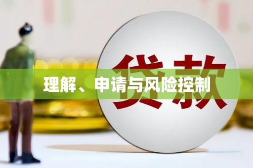 罗东理解、申请与风险控制