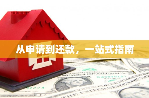 罗东从申请到还款，一站式指南