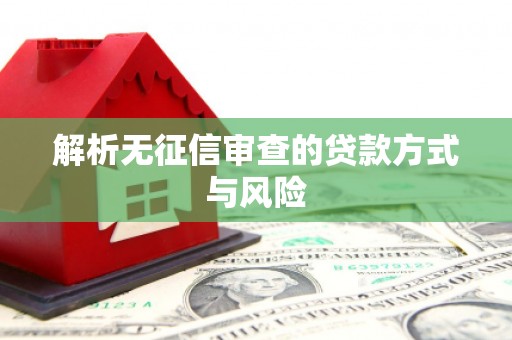 罗东解析无征信审查的贷款方式与风险
