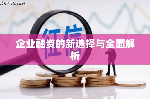罗东企业融资的新选择与全面解析
