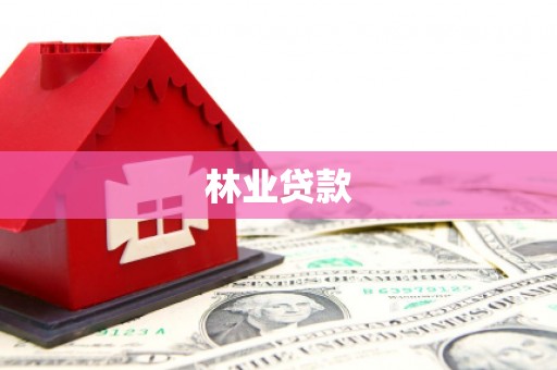 罗东林业贷款