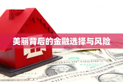 罗东美丽背后的金融选择与风险