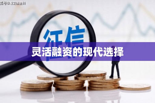 罗东灵活融资的现代选择