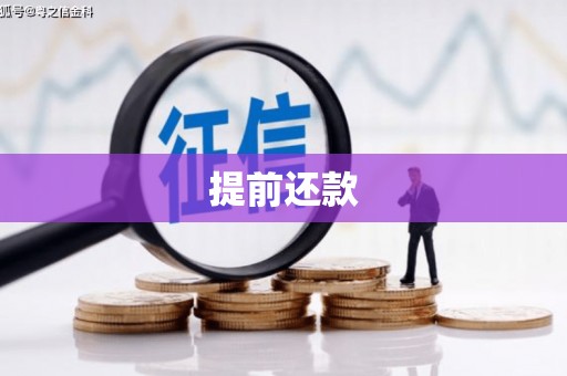 罗东提前还款