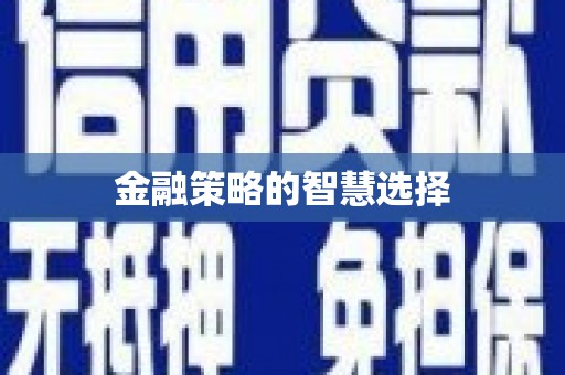 罗东金融策略的智慧选择