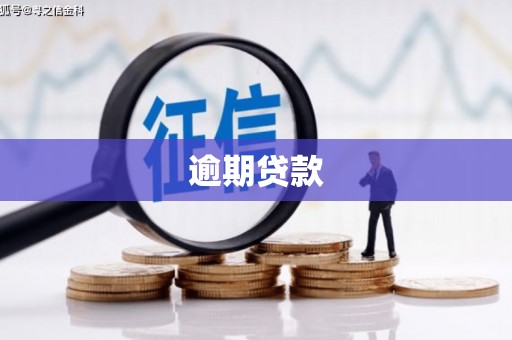罗东逾期贷款