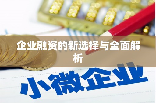 罗东企业融资的新选择与全面解析