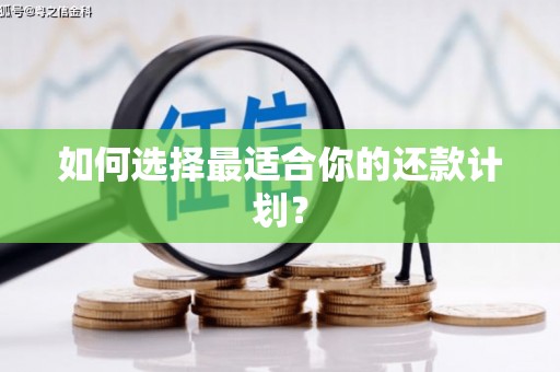 罗东如何选择最适合你的还款计划？