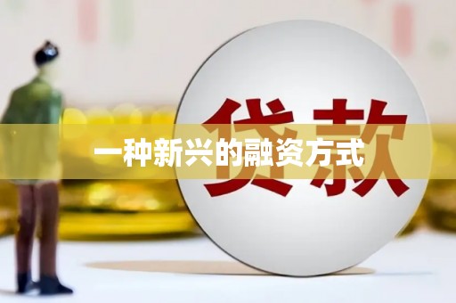 罗东一种新兴的融资方式