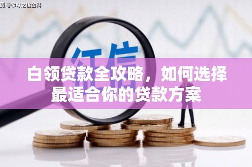 罗东白领贷款全攻略，如何选择最适合你的贷款方案