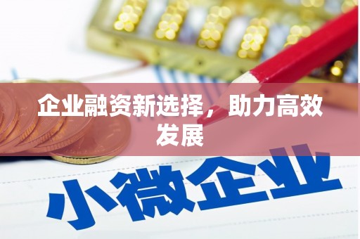 罗东企业融资新选择，助力高效发展