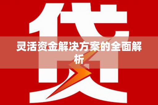 罗东灵活资金解决方案的全面解析