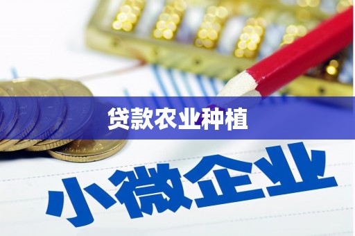 罗东贷款农业种植
