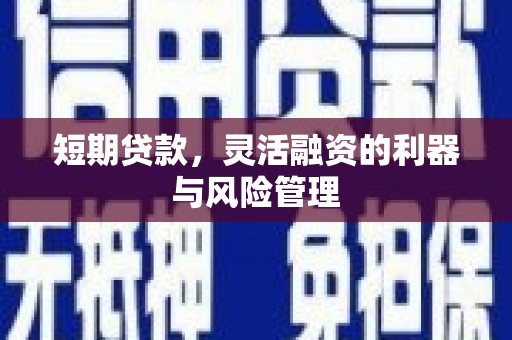 罗东短期贷款，灵活融资的利器与风险管理