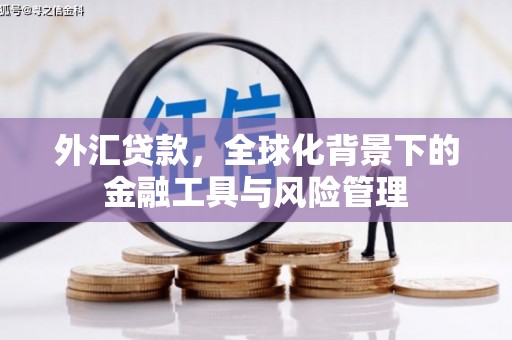罗东外汇贷款，全球化背景下的金融工具与风险管理