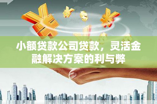 罗东小额贷款公司贷款，灵活金融解决方案的利与弊