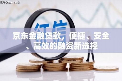 罗东京东金融贷款，便捷、安全、高效的融资新选择