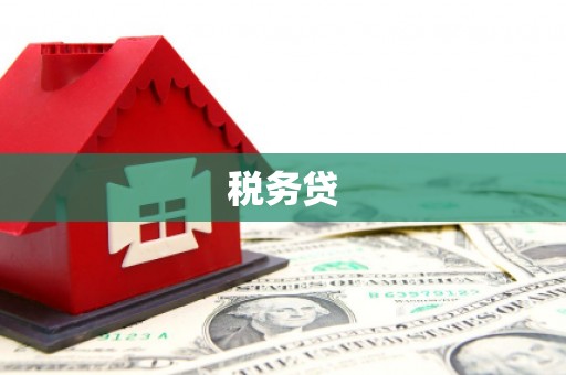罗东税务贷